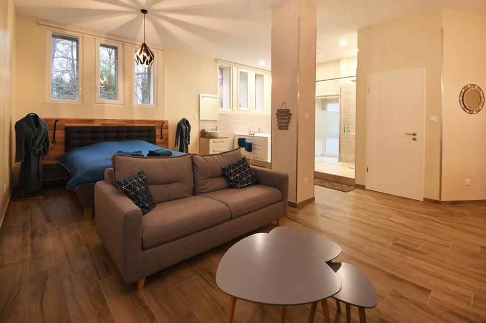 Appartement Loft Detente Страсбург Екстериор снимка